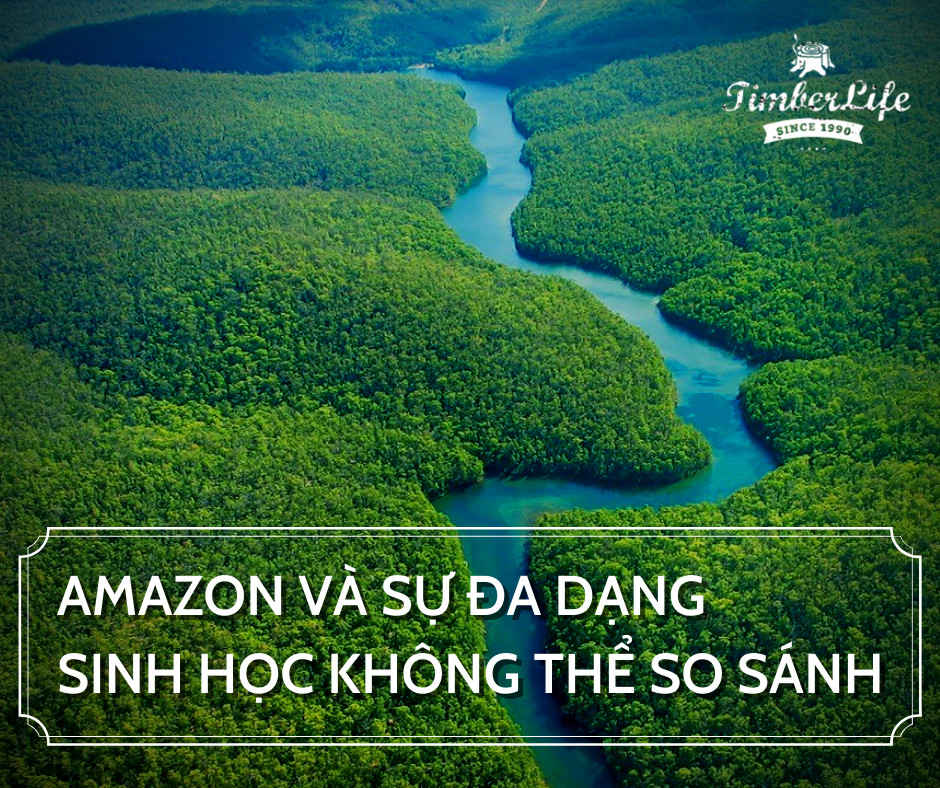 rừng nhiệt đới amazon đa dạng sinh học