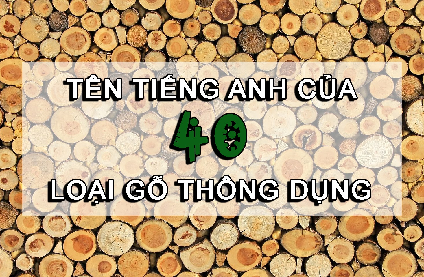 tên tiếng anh các loại gỗ tự nhiên