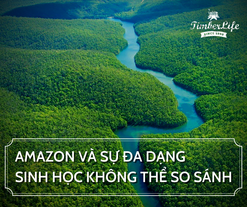 Rừng nhiệt đới Amazon và sự đa dạng sinh học không thể so sánh