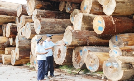 Nhập khẩu gỗ cần những thủ tục gì???  Làm thế nào để có thể nhập khẩu gỗ????