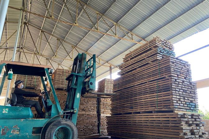 xưởng gỗ Timber Life tại Bà Rịa - Vũng Tàu
